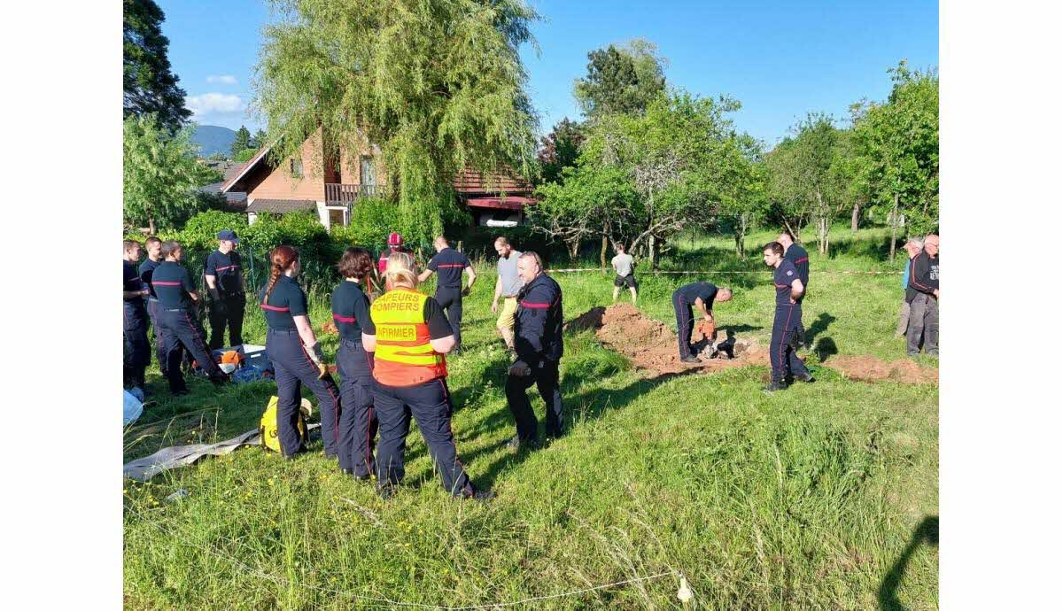 , Essonne : les pompiers sauvent un chiot tombé les égouts