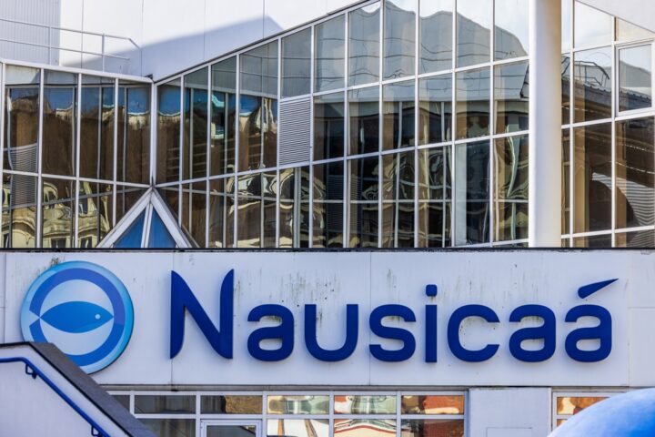 , Pas-de-Calais : Le Nausicaa va bien accueillir des concerts